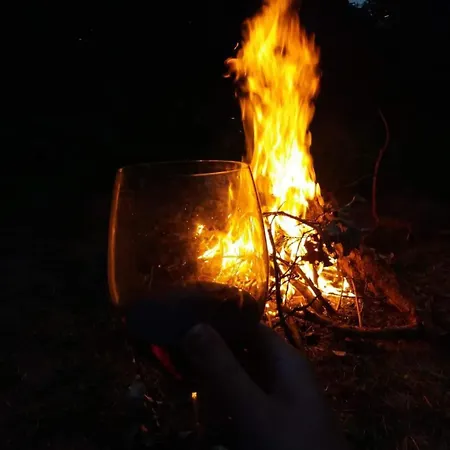 Holiday home Kurdybanek - Letniskowe *